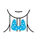 ENDOCRINOLOGY